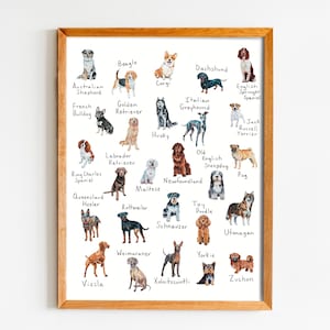 Alphabet Dog Breed Print, A-Z Dog Print, Dog Breed Poster, 8.5” x 11”, 8&quot; x 10&quot; Alphabet Dog Chart, Dog Lover Gift, Watercolor Art Print