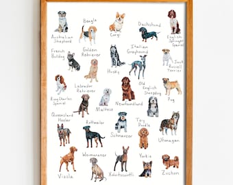 Impresión de razas de perros con alfabeto, impresión de perros de la A a la Z, póster de razas de perros, 8.5" x 11", 8" x 10" Tabla de perros con alfabeto, regalo para amantes de los perros, impresión artística en acuarela