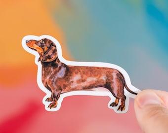 Pegatina de perro salchicha, regalo para amantes de los perros salchicha, pegatina de Doxie, regalo para amantes de los perros, regalo para mamá perruna, pegatina para portátil, regalo de Doxie
