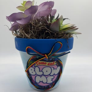 Puede incluir: Una pequeña maceta pintada a mano con borde azul y cuerpo azul claro. La maceta presenta un gráfico con el texto "Come and BLOW ME" y está llena de suculentas y musgo artificiales. Una cinta colorida está atada alrededor de la maceta.