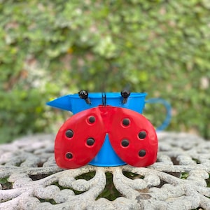Puede incluir: Un adorno de jardín de metal con forma de mariquita roja con lunares negros está unido a una pequeña regadera azul. La mariquita está colocada delante de la regadera, con el asa visible. El fondo es un follaje verde borroso.