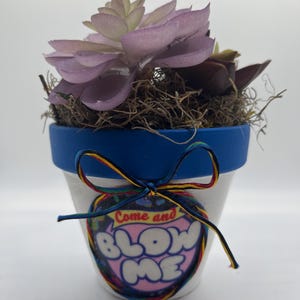 Puede incluir: Una pequeña maceta blanca con borde azul, que contiene una planta suculenta artificial con hojas moradas y verdes. La maceta tiene un gráfico que dice "Come and BLOW ME" y está atada con una cinta colorida.