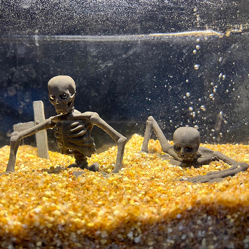 Aquarium Skeleton Statues, Reptiles Decortion,pet Cage Decor, Tank