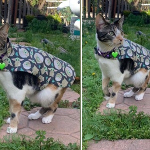Cozy cat jacket, cat clothes, pet clothing, cat jacket, cat coat