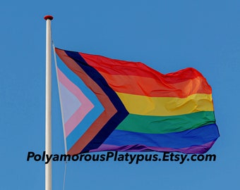 Progress Pride Flag Large  3' x 5'