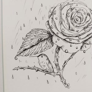 Hummingbird and Rose Ink Drawing image 2