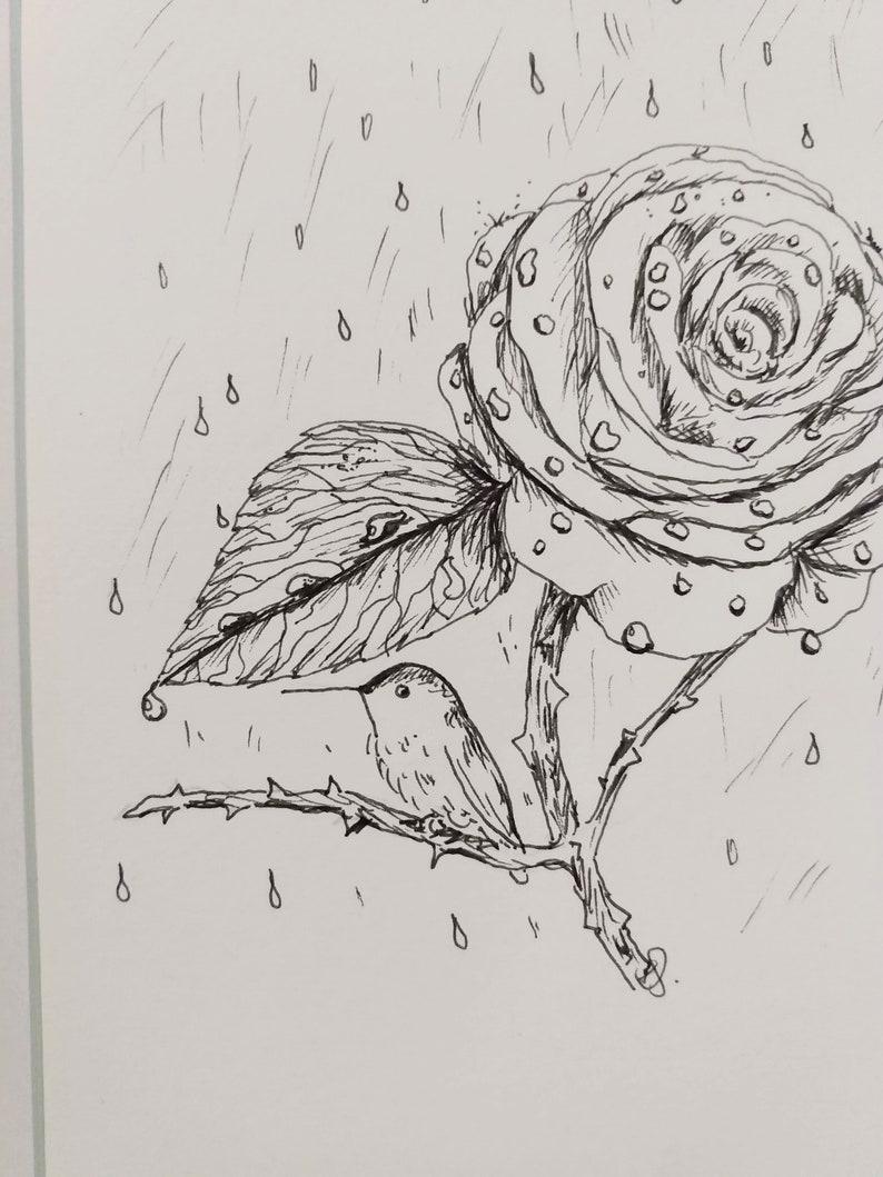 Hummingbird and Rose Ink Drawing image 2
