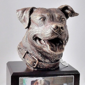 Pitbull Hund Gedenkurne