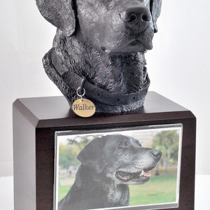 Puede incluir: Una urna de recuerdo para perro labrador negro con una foto del perro y la inscripci&oacute;n "Walker You Left Paw Prints On Our Hearts April 15, 2008 - June 21, 2018"