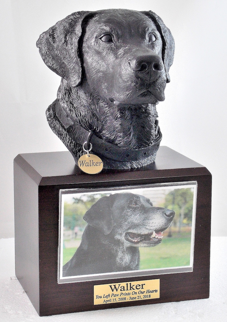 Puede incluir: Una urna de recuerdo para perro labrador negro con una foto del perro y la inscripci&oacute;n "Walker You Left Paw Prints On Our Hearts April 15, 2008 - June 21, 2018"
