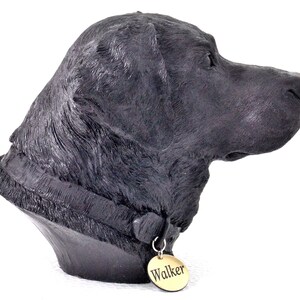 Puede incluir: Escultura de cabeza de perro Labrador Retriever negro con collar negro y una etiqueta dorada que dice "Walker".