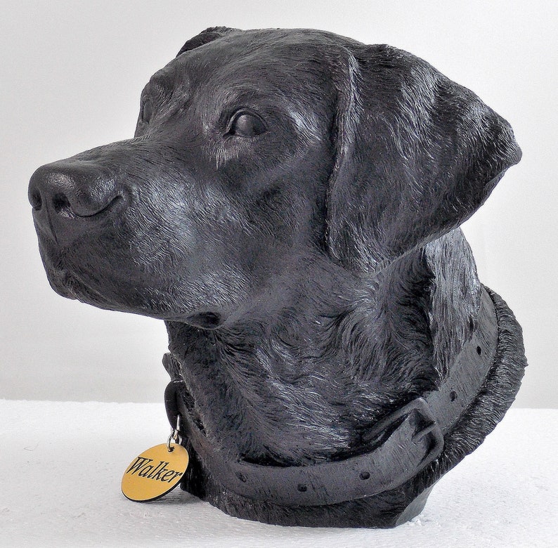 May include: Black Labrador Retriever dog head sculpture with a black leather collar and a gold tag that says "Walker".