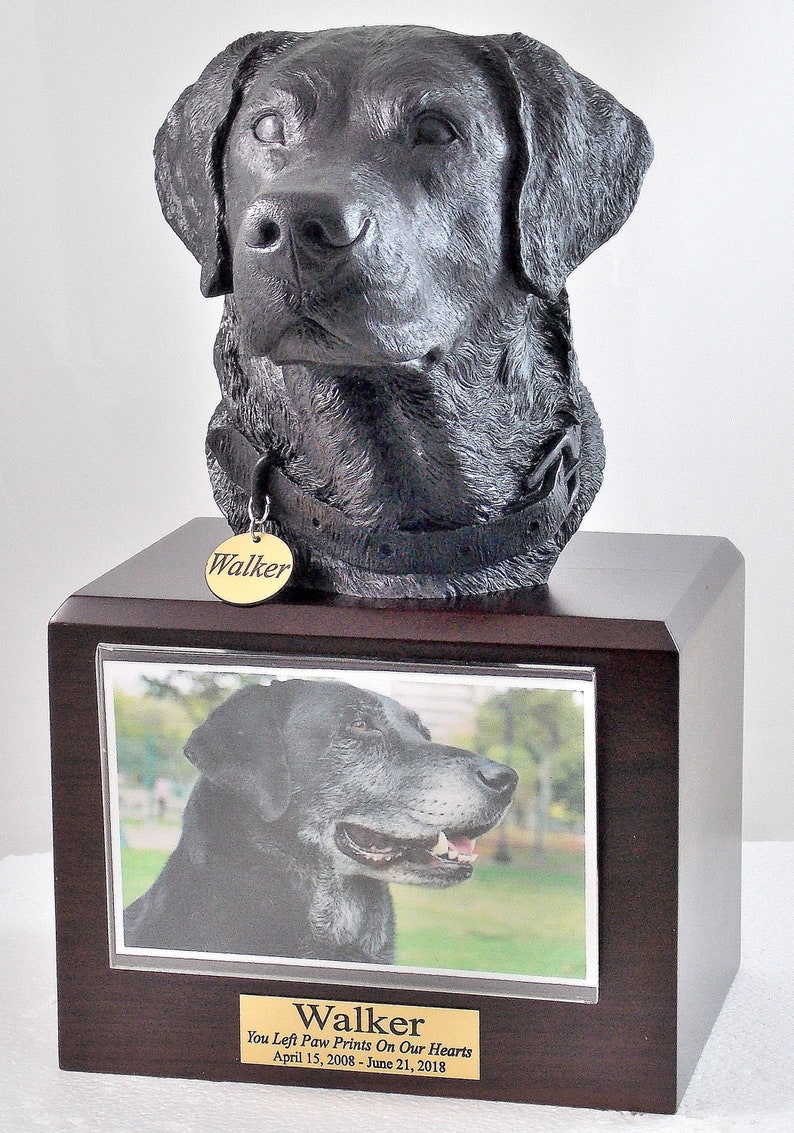 Puede incluir: Una urna de recuerdo para perro Labrador Retriever negro con una foto del perro y una placa que dice "Walker You Left Paw Prints On Our Hearts April 15, 2008 - June 21, 2018"