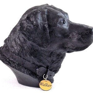 May include: Black Labrador Retriever dog head sculpture with a collar and a gold tag that reads "Walker".