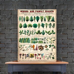 Schule und Familie Botanische Karte Pflanzen Blätter downloadable Printable Instant Print