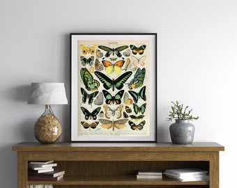 Butterfly Wall Art, Papillons Art Print, Butterflies Wall Decor 2