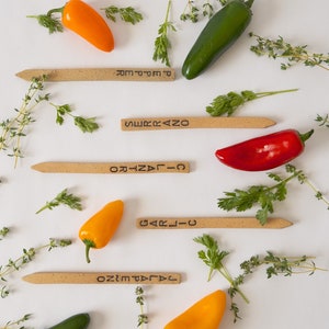 Garden Markers, Garden Sticks, Vegetable Garden Markers, Ceramic Garden Stakes, Veggie Plant Markers, Handmade Garden Labels