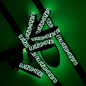 Glow in dark Twenty One Pilots bracelet. Clancy Stole - Clancy World Tour |-/