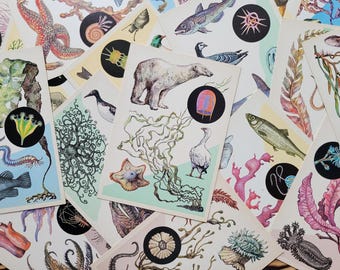 SALE, 16 Vintage Postcards, Sea, 1980s Mixed Media Ephemera
