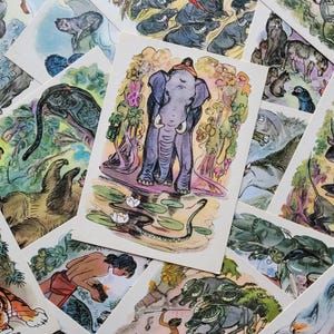 VENTE, 16 cartes postales anciennes, Mowgli, R. Kipling, cartes postales de l'Union soviétique, URSS, inutilisé, art, techniques mixtes, papier éphémère, années 1970, 1975