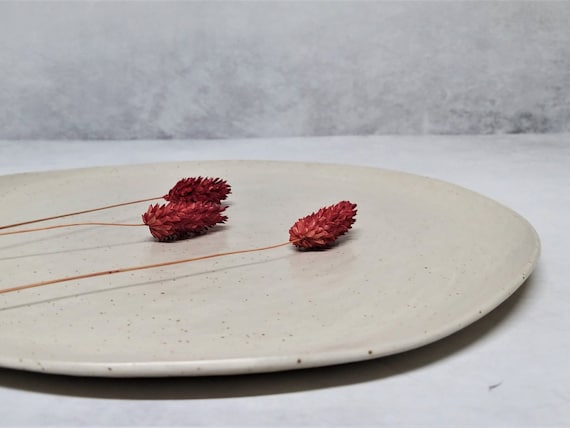 Ceramic plates in microwave sales