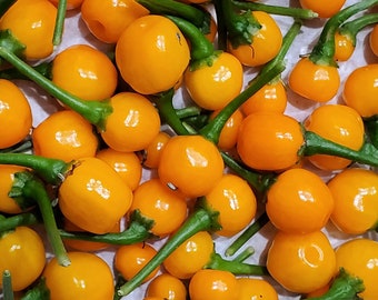 Aji Charapita Pepper Seeds: Rare Peruvian Chili, Fruity Flavor