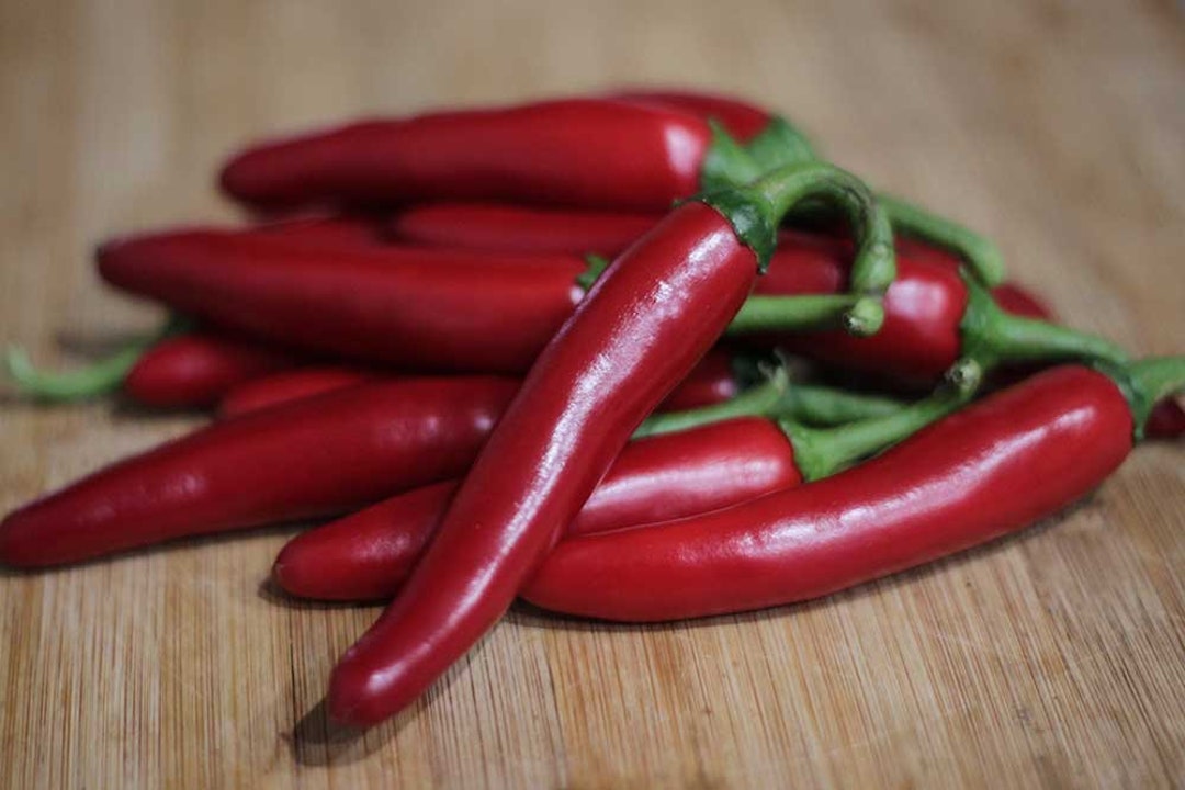 Gochugaru korean Pepper Seeds Minimum 20 Seed per Pack Etsy