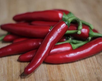 Gochugaru Pepper Seeds: Authentic Korean Chili, Kimchi & Gochujang