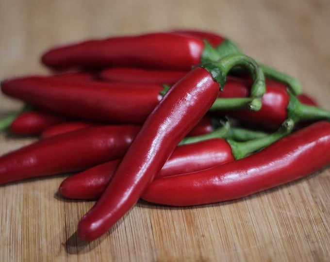 Gochugaru korean Pepper Seeds Minimum 20 Seed per Pack Etsy