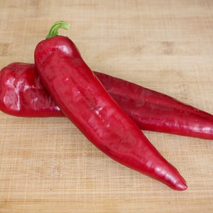 Big Jim Pepper Seeds: Mild, Flavorful, Giant Peppers