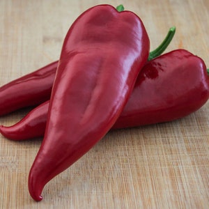 May include: Three red bell peppers on a wooden cutting board. The peppers are long and slender with a pointed tip.