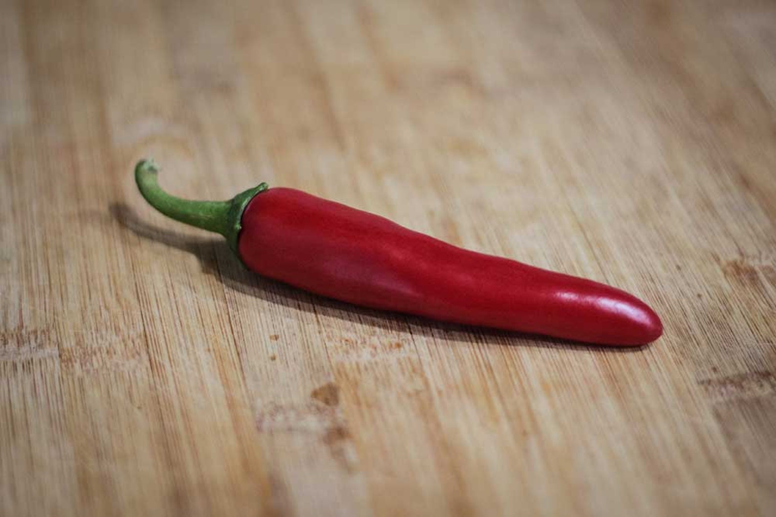 Gochugaru korean Pepper Seeds Minimum 20 Seed per Pack Etsy