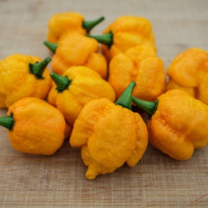 Yellow Moruga Scorpion Pepper Seeds: Super Hot Trinidad Chili