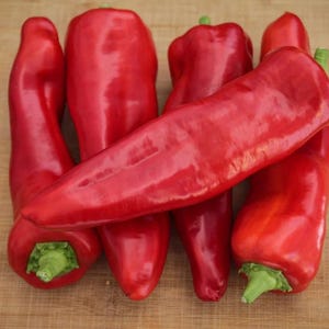 Aconcagua Pepper Seeds - Heirloom Sweet Peppers for Grilling, Stuffing, or Fresh Eating - High-Yield Garden Seeds - Sweet & Delicious