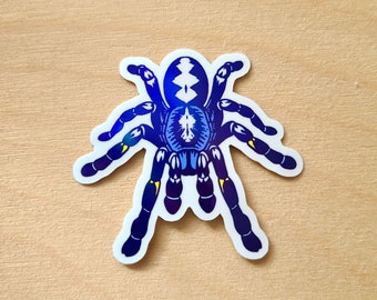Gooty Sapphire (Poecilotheria metallica) - Holographic Sticker
