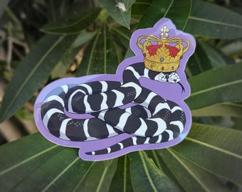 California King Snake - Sticker