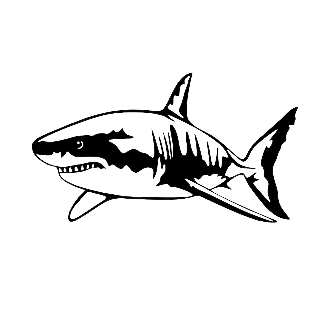 shark-svg-great-white-shark-svg-shark-in-the-ocean-svg-shark-name