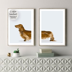 Red Brown Long Haired Dachshund Dog - Set of 2 Prints, Wiener Sausage Dog, Giclee Print