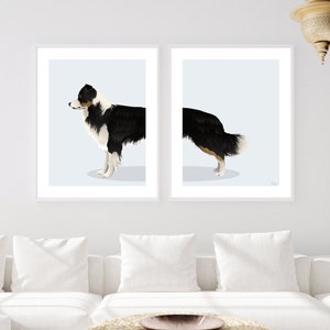 Tri-Colour Border Collie Dog - Set di 2 stampe digitali, cane da lavoro e da caccia, download digitale