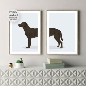 Cioccolato Marrone Labrador Retriever Dog - Set di 2 stampe, Giclee Print