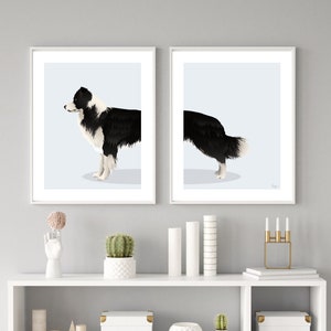 Black & White Border Collie Dog - Set di 2 stampe digitali, cane da lavoro e da caccia, download digitale