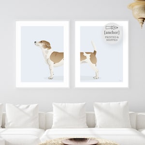 Bianco e Tan Jack Russell Terrier Dog - Set di 2 stampe, Giclee Stampa
