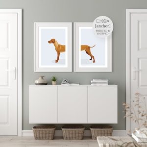 Hungarian Vizsla Dog - Set of 2 Prints, Giclee Print