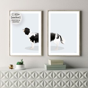 Tri Colore Cavalier Dog - Set di 2 stampe, Re Carlo Spaniel, Giclee Print
