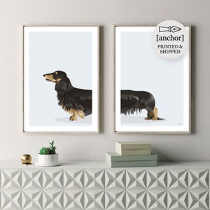 Black and Cream Long Haired Dachshund Dog - Set of 2 Prints, Wiener Sausage Dog, Giclee Print