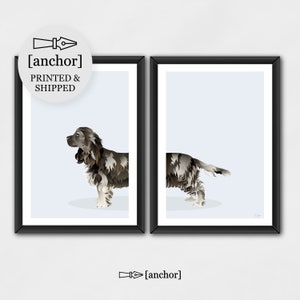 Merle Cocker Spaniel Dog - Set di 2 stampe, stampa Giclee