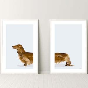 Red Brown Long Haired Dachshund Dog - Set of 2 Digital Prints, Wiener Sausage Dog, Digital Download
