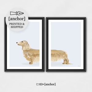 Cane bassotto a pelo lungo giallo crema - Set di 2 stampe, cane bassotto, stampa giclée