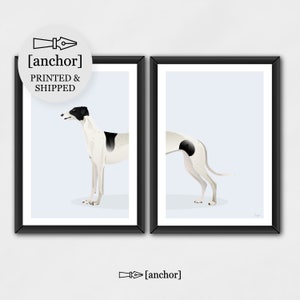Black & White Greyhound Dog - Set of 2 Prints, Giclee Print