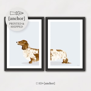 Cane bassotto pezzato a pelo lungo rosso-marrone - Set di 2 stampe, cane bassotto, stampa giclée